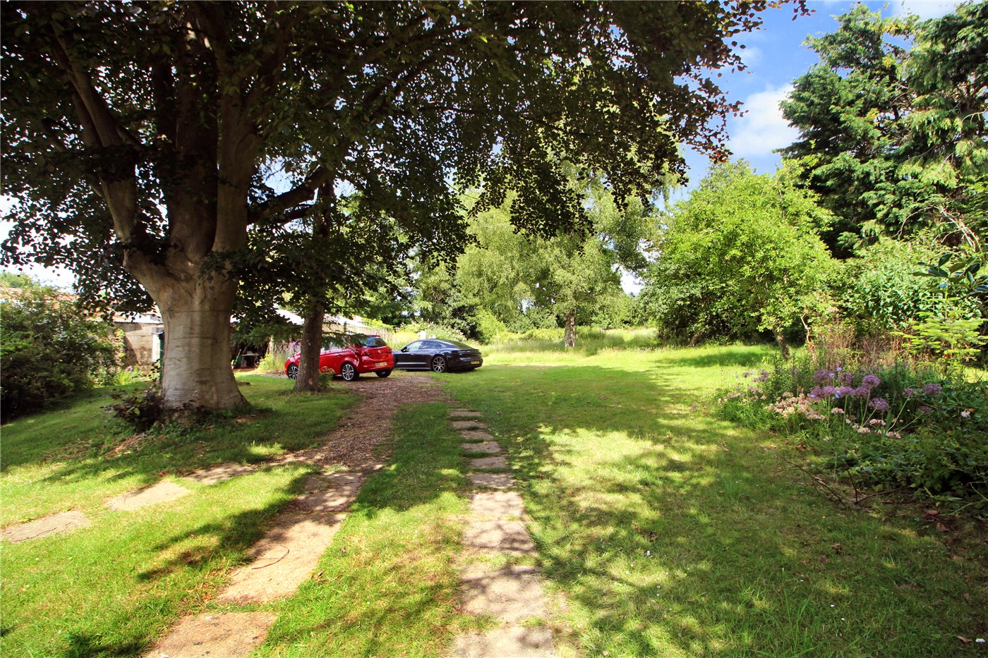 Driveway